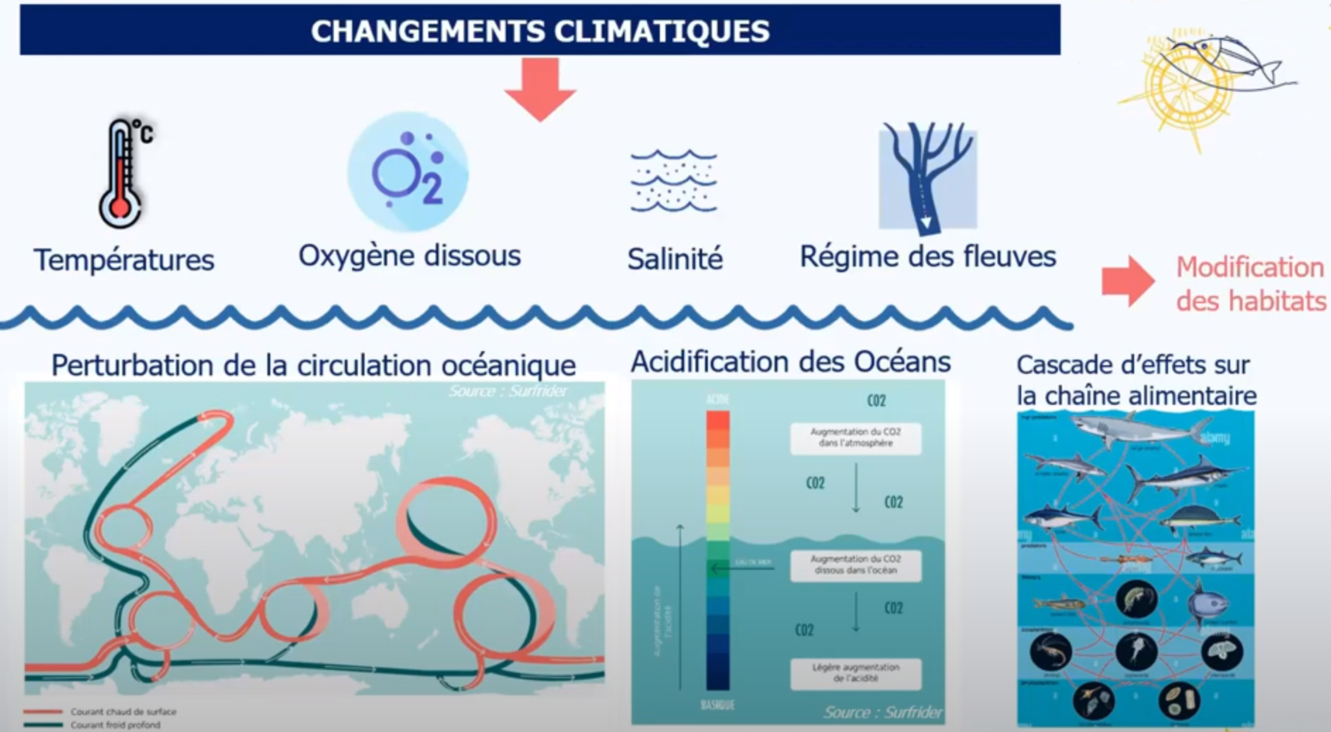 La pêche s’adapte au changement climatique