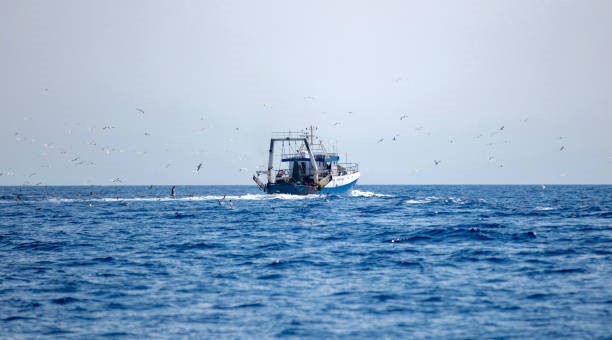 La mer nourricière : du large à l&rsquo;assiette – 1er partie
