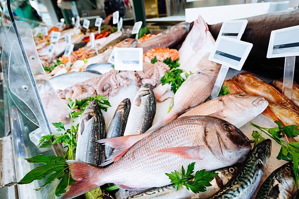 La mer nourricière : du large à l&rsquo;assiette – 3em partie