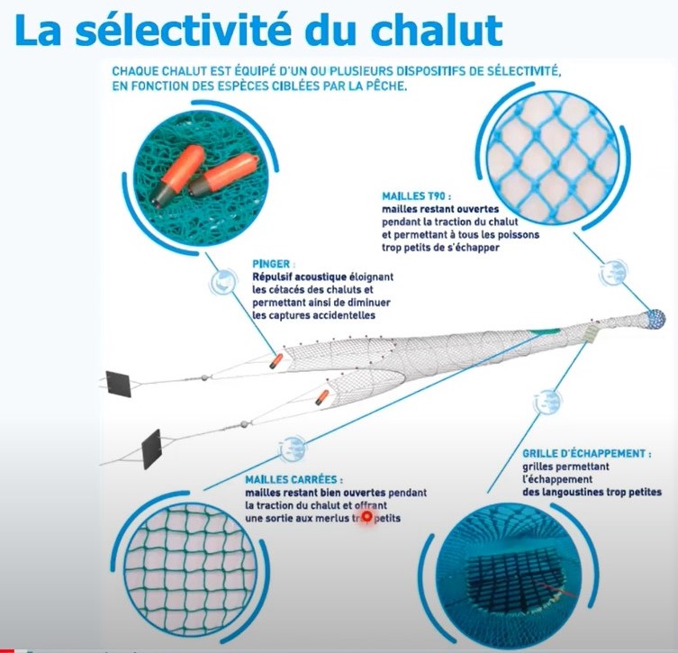L’Intelligence Artificielle au service d’une pêche ciblée et efficace